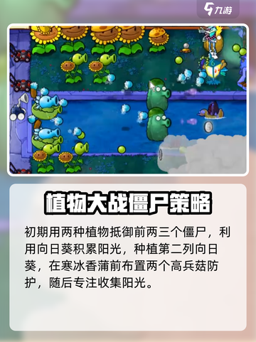 植物大战僵尸杂交版第19关打法🔥超详细攻略来啦！🎉截图4
