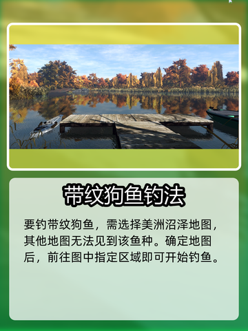 《钓鱼星球》带纹狗鱼爆钓技巧！🎣截图2