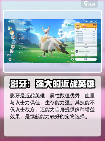 酷比大陆宠物培养哪个好介绍截图5