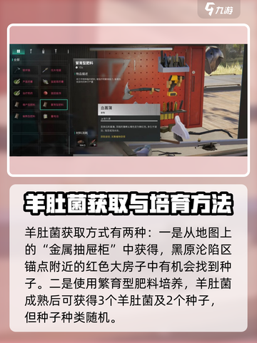 七日世界羊肚菌在哪介绍截图5