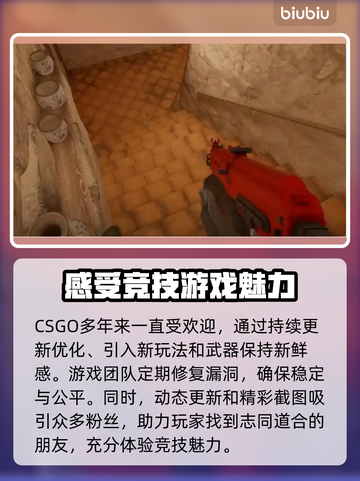 CSGO掉帧？这款加速器让你畅爽玩游戏🔥🎮截图2