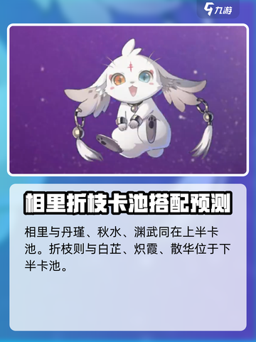 鸣潮下个版本五星是谁介绍截图5
