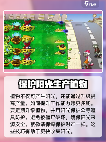 植物大战僵尸🔥自动收集阳光秘籍💡游戏技巧大公开！截图3