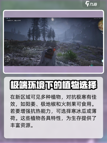 七日世界雪国人生保暖攻略介绍截图3