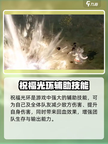 命运方舟圣骑士什么时候出介绍截图3