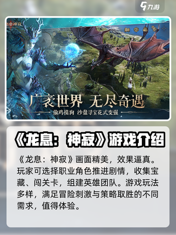 龙息神寂游戏类型介绍介绍截图2