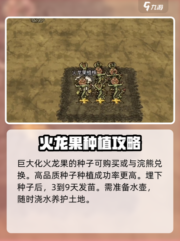 饥荒新家园🔥巨大火龙果种植秘籍💥截图3