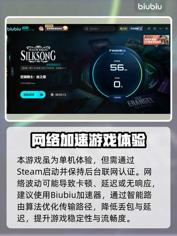 🎮《空洞骑士丝之歌》卡顿？一招解决丝滑操作！截图4