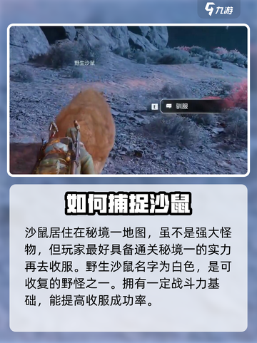 破碎之地沙鼠怎么得介绍截图2