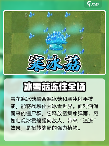 植物大战僵尸：雪花寒冰菇🔥超强攻略来袭！截图2