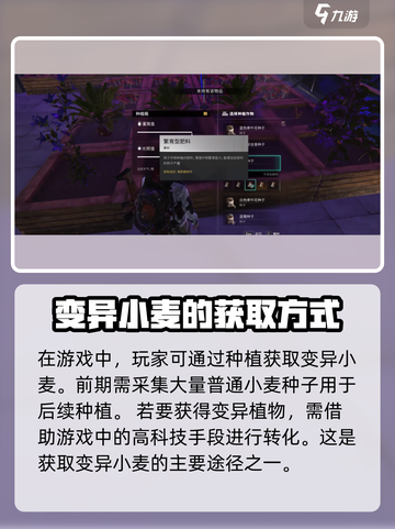 七日世界🔥变异小麦获取&种植攻略🌾截图3