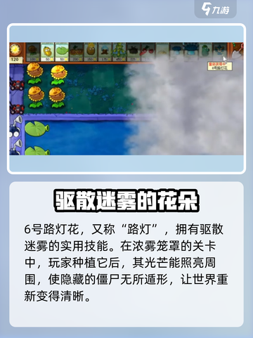 植物大战僵尸⚡杂交版路灯居然有这种作用！💡截图2