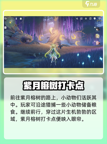 鸣潮🔥无光森林观景点位置大曝光！快来看看✨截图4