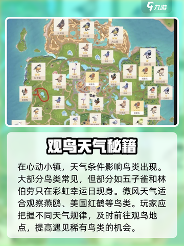 心动小镇观鸟解锁攻略！🐦✨截图2
