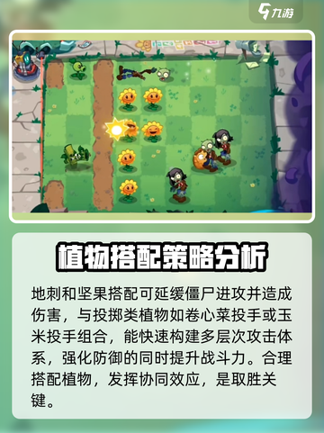 植物大战僵尸3地刺🔥超详细解析来啦！截图4