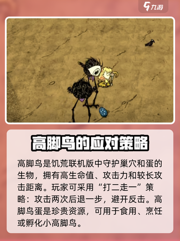 饥荒联机版高脚鸟是什么介绍截图2