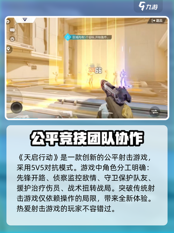 天启行动是哪个国家的介绍截图2
