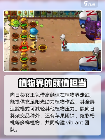 植物大战僵尸杂交版向日葵怎么样介绍截图4