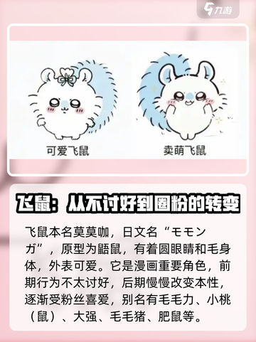 口袋吉伊卡哇飞鼠介绍介绍截图2
