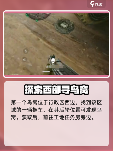 三角洲行动鸟能躲就躲！鸟窝位置全曝光🔥截图2