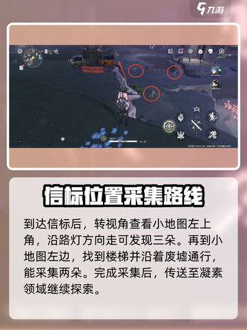 鸣潮妙弋花采集在哪采介绍截图4