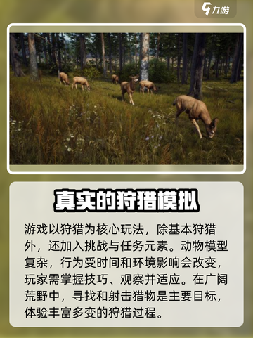 猎人之路和荒野的呼唤哪个好介绍截图3