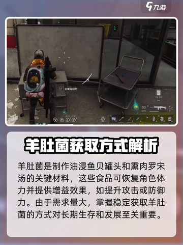 七日世界羊肚菌有什么用介绍截图3