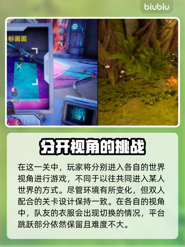 双影奇境🔥P8幻裂奇境通关秘籍💡截图2