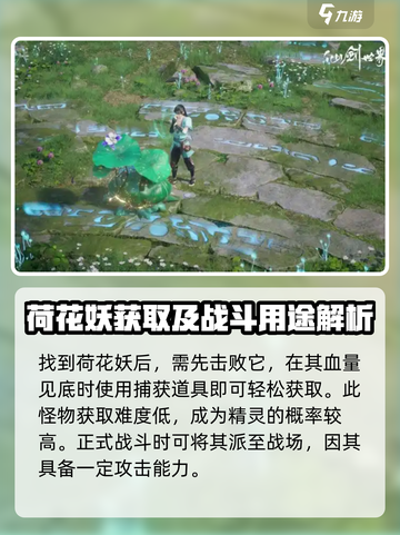 仙剑世界荷花妖怎么样介绍截图5