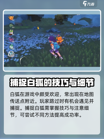 洛克王国世界捕捉白狐方法有哪些介绍截图2