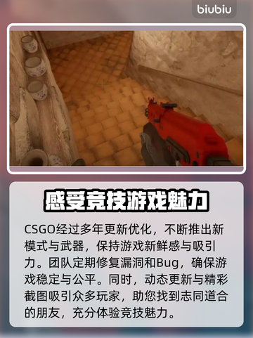 CSGO掉帧？这款加速器让你畅爽游戏🔥🎮截图2