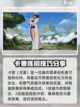 航海王壮志雄心角色强度排行介绍截图7