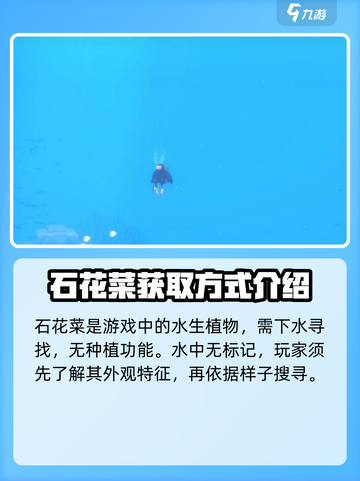 潜水员戴夫石花菜在哪介绍截图2