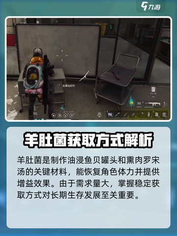 七日世界羊肚菌有什么用介绍截图3