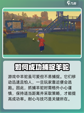 波西亚时光黄金羊驼怎么获取介绍截图2