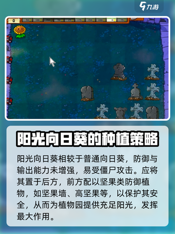 植物大战僵尸之阳光向日葵🔥杂交版上线啦！快玩截图3