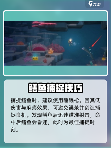 潜水员戴夫鳝鱼怎么捕捉介绍截图3