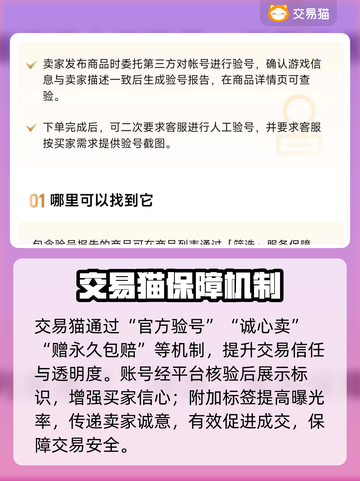 🔥游戏代练账号交易平台大揭秘！🎮截图3