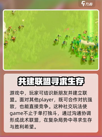 万龙觉醒撞州🔥游戏玩法大揭秘！截图4