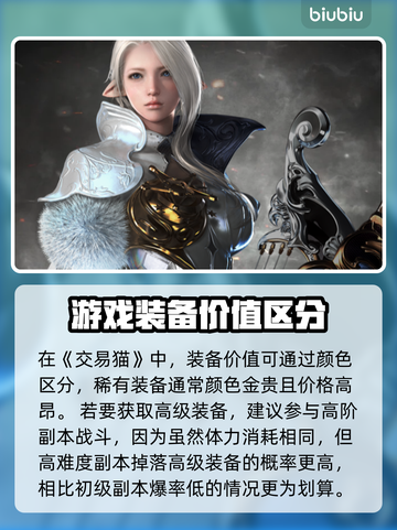 命运方舟装备值💰吗？装备价格大曝光💥截图2