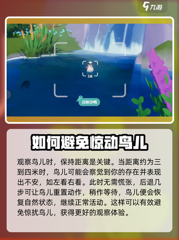 心动小镇观鸟技巧是什么介绍截图4