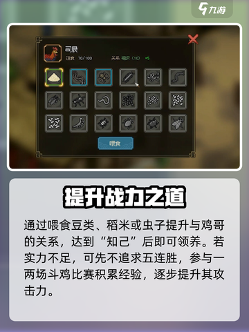 大侠立志传斗鸡玩法🔥💥🎮截图4