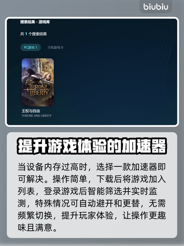 王权与自由延迟高？❌解决方法来了！🔥截图4
