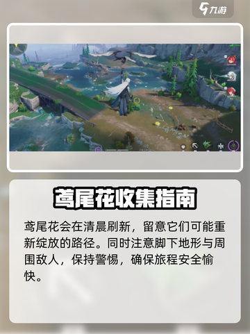 《鸣潮》鸢尾花位置大公开！🌸🗺截图4