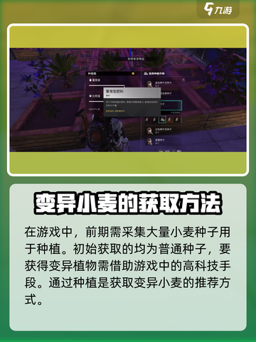 七日世界变异小麦这么获取介绍截图3