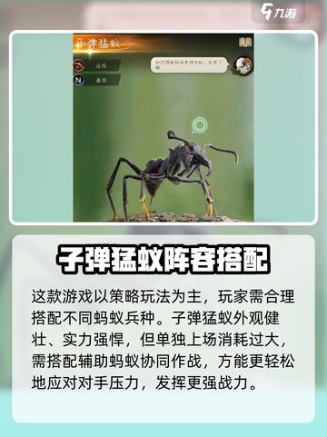 小小蚁国子弹猛蚁组合怎么搭配介绍截图2
