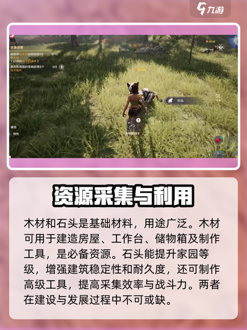 荒野起源🔥必备物品大公开，玩家必看！截图4