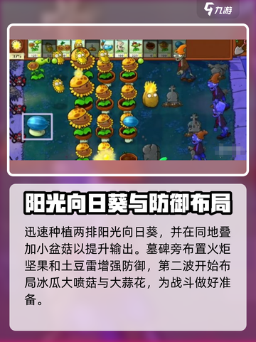 🎮植物大战僵尸杂交版冒险6关通关秘籍！💥截图3