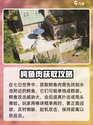 七日世界鳄鱼肉怎么获取食用介绍截图2