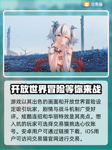 鸣潮号估价秘籍📌，账号交易平台大曝光🔥截图2